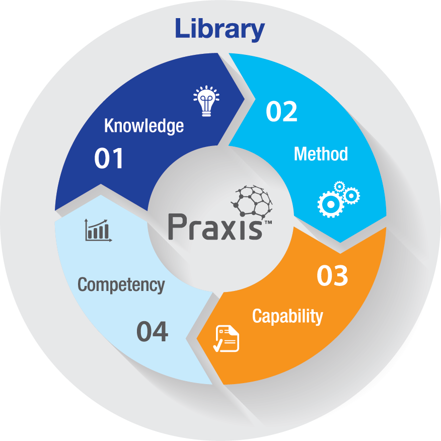 PraxisFramework Model PraxisFramework Model